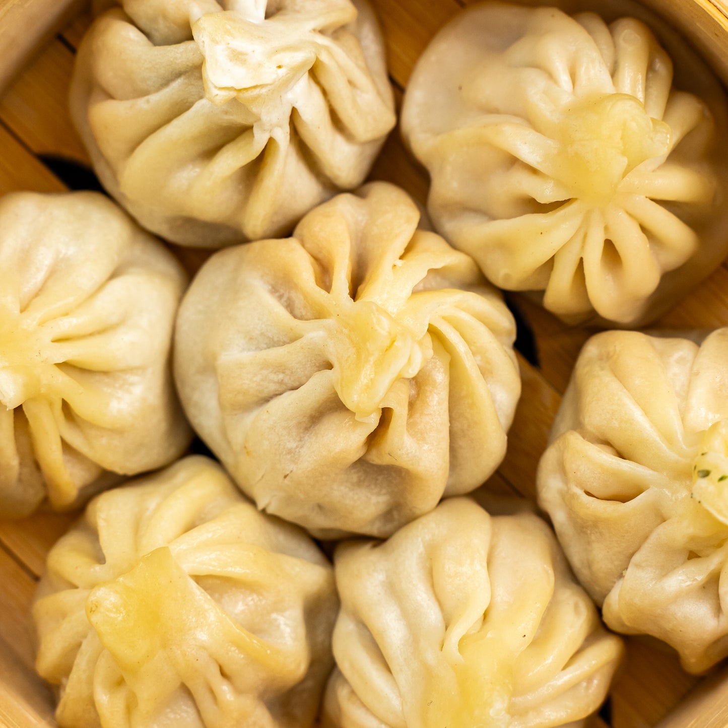 Box Dumpling Medium