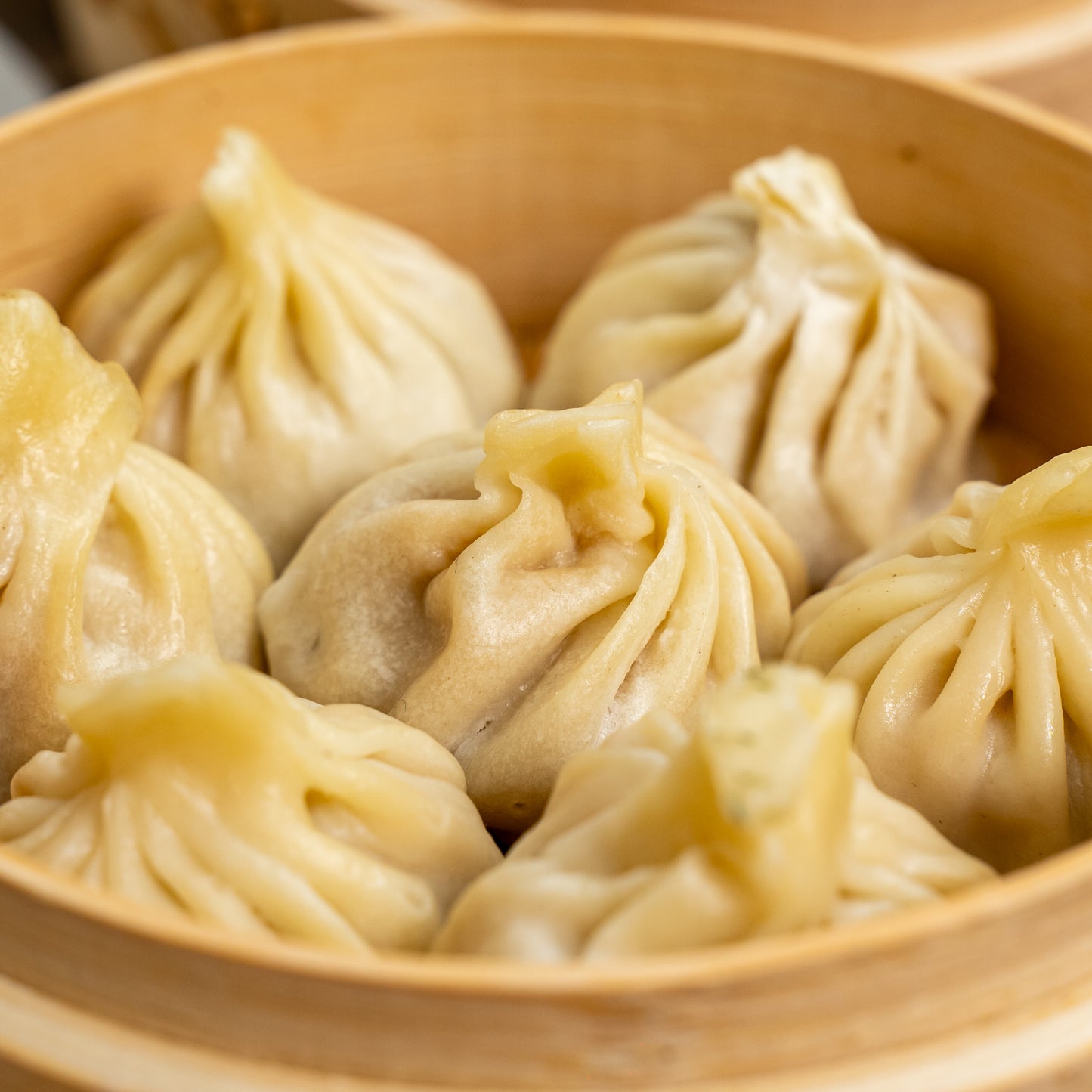 Box Dumpling Medium