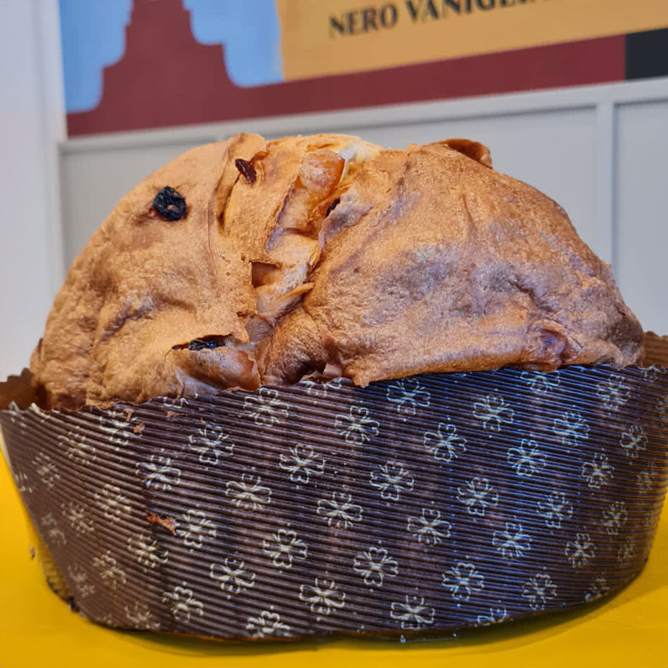 Panettone Cioccolato e Albicocca di Nero Vaniglia
