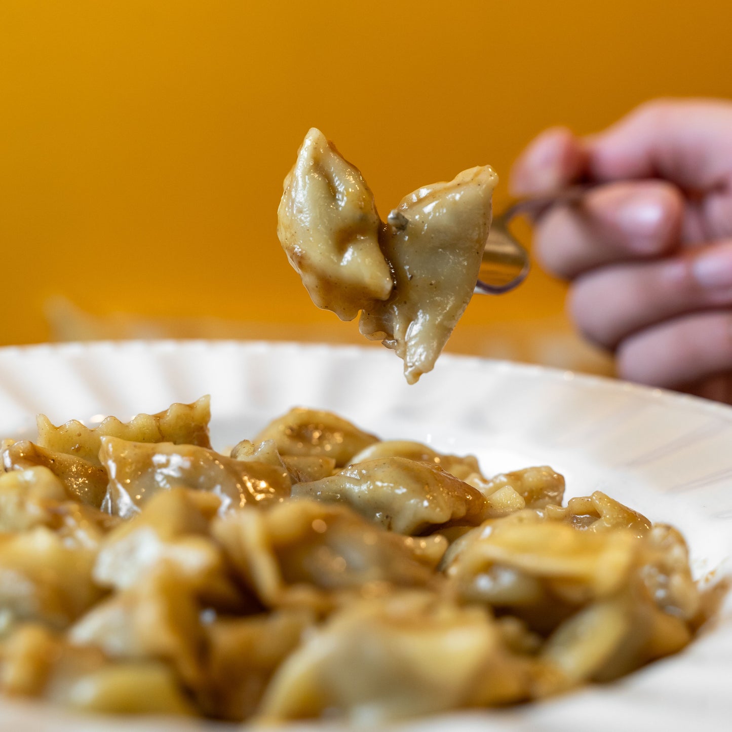 Box Ravioli Fatti a Mano