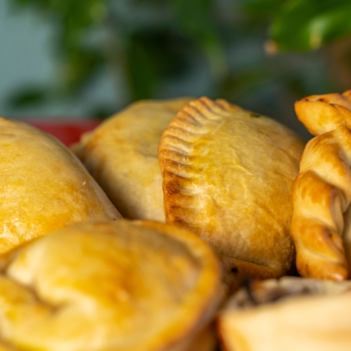 Ceibo x Fernet Branca: rituale argentino!